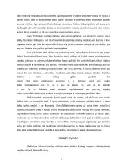 Daiktinė teisė ir jos įgyvendinimas 4 puslapis