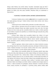 Daiktinė teisė ir jos įgyvendinimas 6 puslapis