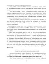 Daiktinė teisė. Valdymas. Valdymo gynimas 3 puslapis