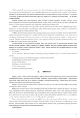 Daiktinės teisės civilinėje teisėje 12 puslapis