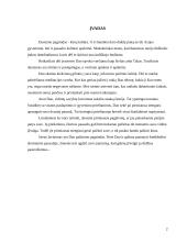 Dao principai 2 puslapis