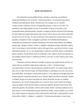 Dao principai 4 puslapis