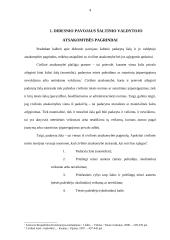 Didesnio pavojaus šaltinio valdytojo atsakomybę šalinančios aplinkybės 4 puslapis