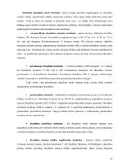 Draudimo įmonių teisinis reguliavimas 18 puslapis