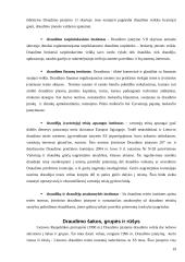 Draudimo įmonių teisinis reguliavimas 19 puslapis