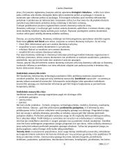 Duomenų bei informacijos apsauga ir autorių teisės 11 puslapis