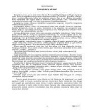 Duomenų bei informacijos apsauga ir autorių teisės 4 puslapis