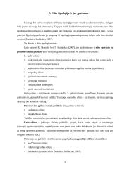 Elito tipologija 5 puslapis