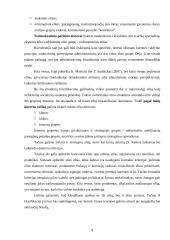 Elito tipologija 8 puslapis