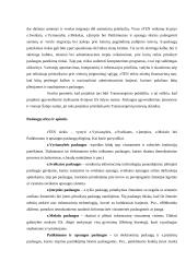 Europos Sąjungos (ES) informacinės visuomenės plėtros programų apžvalga 12 puslapis