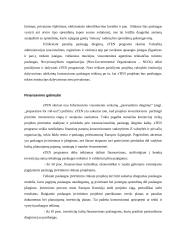 Europos Sąjungos (ES) informacinės visuomenės plėtros programų apžvalga 13 puslapis