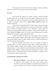 Europos Sąjungos (ES) informacinės visuomenės plėtros programų apžvalga 4 puslapis
