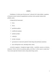 Finansinė nuoma. Lizingas 3 puslapis