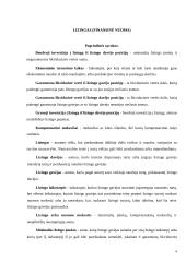 Finansinė nuoma. Lizingas 4 puslapis