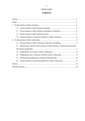 Fizinių asmenų civilinis teisnumas ir veiksnumas 2 puslapis
