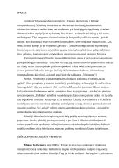 Geštaltpsichologijos šaka 2 puslapis