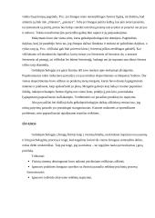 Geštaltpsichologijos šaka 9 puslapis