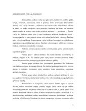 Ikimokyklinis amžius 5 puslapis