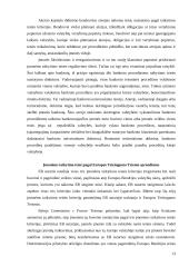 Įmonėms taikytina teisė 13 puslapis