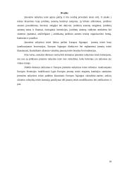 Įmonėms taikytina teisė 18 puslapis