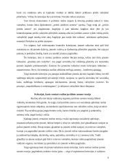 Įmonėms taikytina teisė 9 puslapis