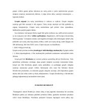 Įmonių teisės. Galimos įmonės teisinės formos 13 puslapis