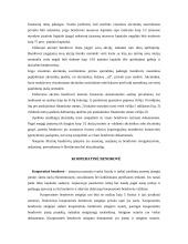 Įmonių teisės. Galimos įmonės teisinės formos 5 puslapis