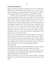 Individualių įmonių pertvarkymo galimybės ir tvarka 9 puslapis