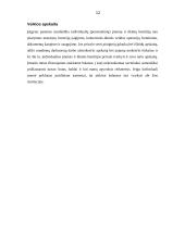 Individualių įmonių pertvarkymo galimybės ir tvarka 10 puslapis