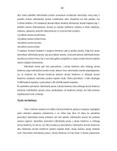 Individualių įmonių pertvarkymo galimybės ir tvarka 17 puslapis