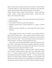 Informacija ir žinios 7 puslapis