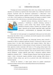 Informacijos apsauga ir saugumas 10 puslapis