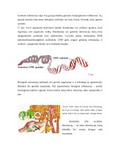 Informacijos klasifikavimas 3 puslapis