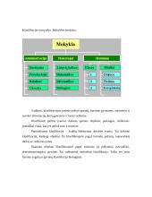 Informacijos klasifikavimas 5 puslapis