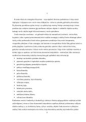 Informacijos poreikiai ir vertinimas 5 puslapis