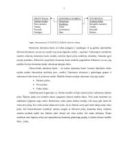 Informacijos kaupimas ir saugojimas 7 puslapis