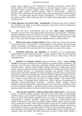 Informacinė visuomenė ir jos situacija Lietuvoje 12 puslapis