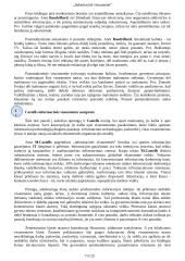 Informacinė visuomenė ir jos situacija Lietuvoje 6 puslapis