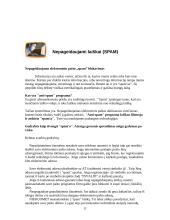 Informacinė visuomenė. Socialiniai bei etiniai aspektai 11 puslapis