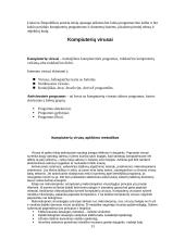 Informacinė visuomenė. Socialiniai bei etiniai aspektai 13 puslapis