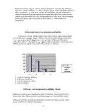 Informacinė visuomenė. Socialiniai bei etiniai aspektai 8 puslapis