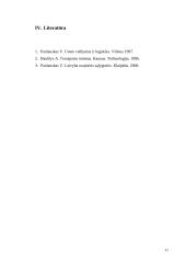 Informacinės technologijos uoste 11 puslapis
