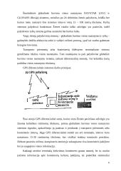 Informacinės technologijos uoste 6 puslapis