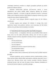 Informacinės technologijos uoste 7 puslapis