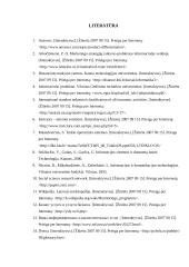 Informacinių produktų diferenciacija 17 puslapis