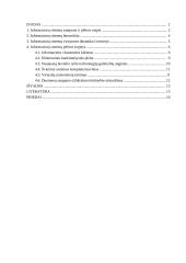Informacinių sistemų plėtra 2 puslapis