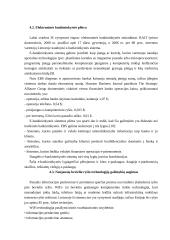 Informacinių sistemų plėtra 11 puslapis