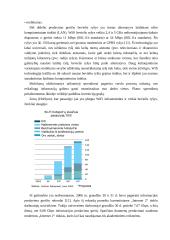 Informacinių sistemų plėtra 12 puslapis