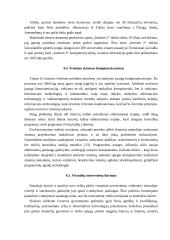 Informacinių sistemų plėtra 13 puslapis