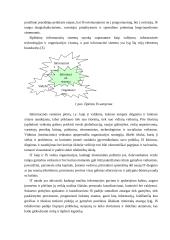 Informacinių sistemų plėtra 5 puslapis